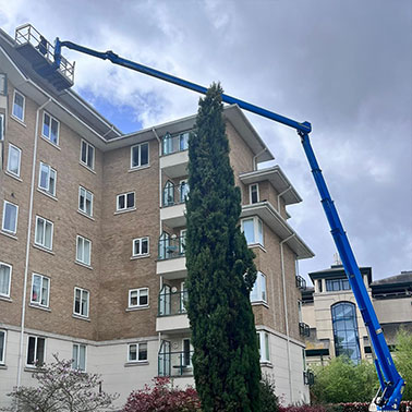 Gutter Cleaning MEWPs 2