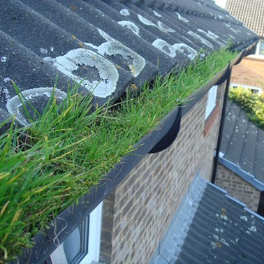 Gutter Cleaning Before 1