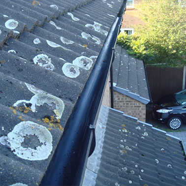 Gutter Cleaning After 1