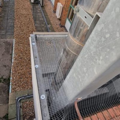 Pigeon Netting 1